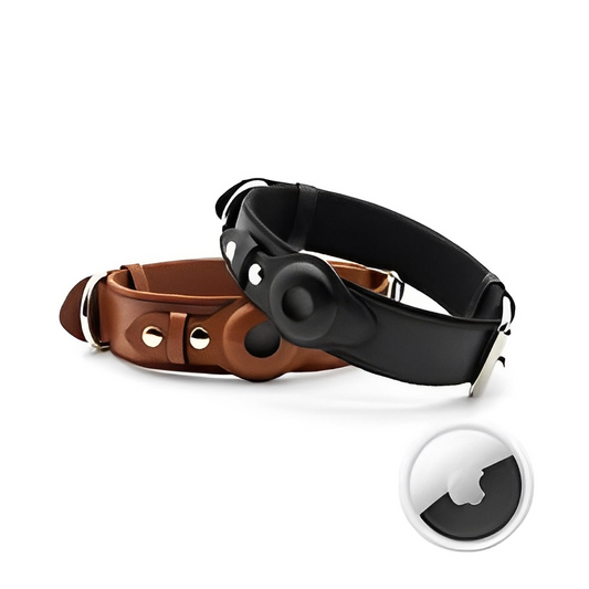 Adjustable Dog Collar with AirTag Case